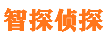 方正市私家侦探